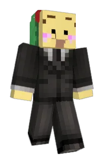 TACOWASA_1724 Minecraft avatar full body