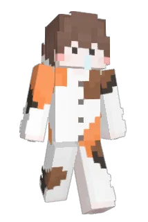 TAEJIN0302 Minecraft avatar full body