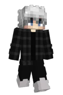 TATA4PRESIDENT Minecraft avatar full body