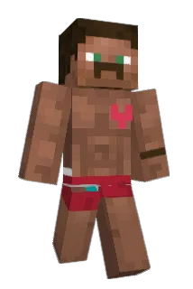 TAZmanian2020 Minecraft avatar full body