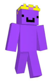 TB11111 Minecraft avatar full body