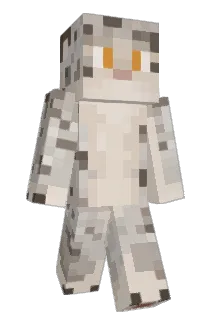 TCMcCain15 Minecraft avatar full body