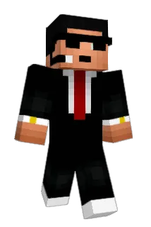 TCasseBloc Minecraft avatar full body