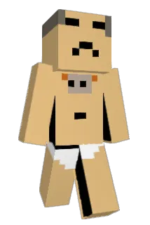 TDLTU Minecraft avatar full body
