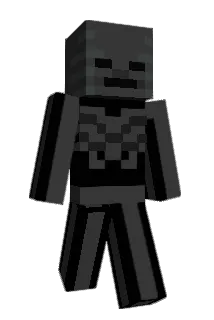 TDLnl Minecraft avatar full body