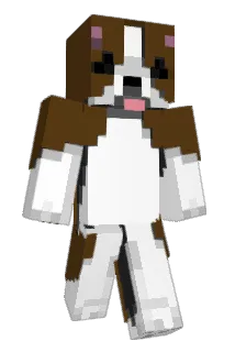 TDNtim Minecraft avatar full body