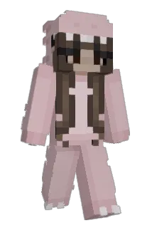 TE55_ Minecraft avatar full body