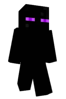 TECH320 Minecraft avatar full body