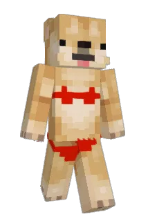 TECOJORITA69 Minecraft avatar full body