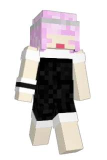 TELLER_Ch Minecraft avatar full body
