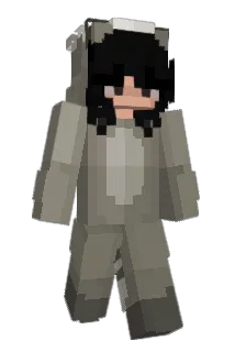 TEM0000 Minecraft avatar full body