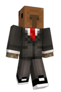 TEZ9926 Minecraft avatar full body