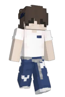 TE_RET Minecraft avatar full body