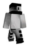 TFJ2021 Minecraft avatar full body