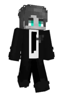 TFrame55 Minecraft avatar full body