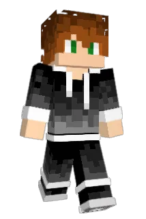 TGNL Minecraft avatar full body