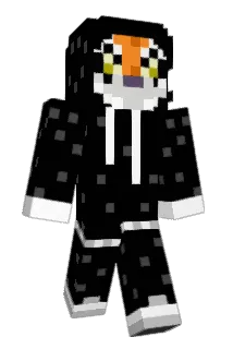 TGNi Minecraft avatar full body
