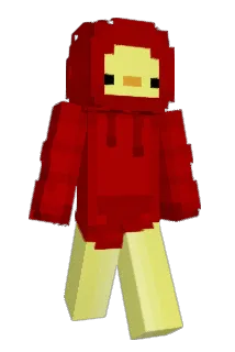 TGS080425 Minecraft avatar full body