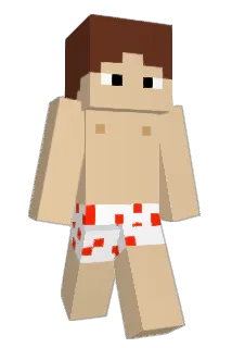 THEHO333 Minecraft avatar full body