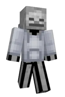 THISGUY14 Minecraft avatar full body