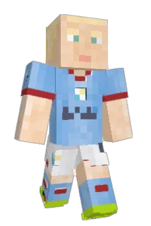 THROWsolar Minecraft avatar full body