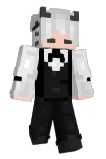 TIERSPACE Minecraft avatar full body