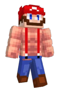 TINGtingovo Minecraft avatar full body