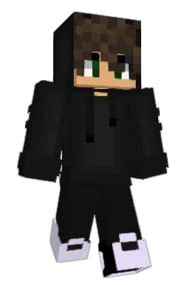 TINIJM14 Minecraft avatar full body