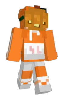 TIV2DUCKMAN22 Minecraft avatar full body