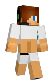 TJ281 Minecraft avatar full body