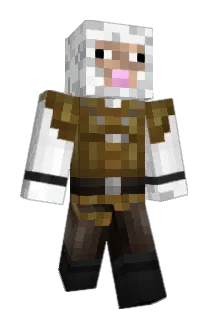 TJ285 Minecraft avatar full body