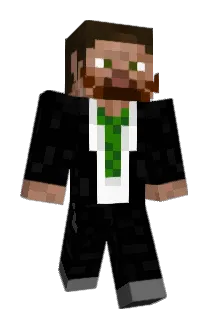 TJBox Minecraft avatar full body