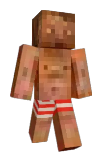 TJCHDS Minecraft avatar full body