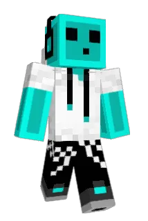 TJDJ208 Minecraft avatar full body
