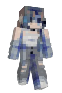 TJJ7611 Minecraft avatar full body