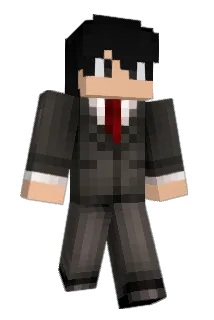 TJP0630 Minecraft avatar full body