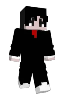 TJQ0511 Minecraft avatar full body