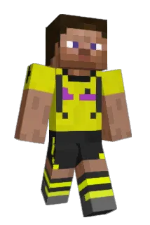 TJ_CORE Minecraft avatar full body