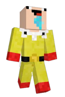 TK6315 Minecraft avatar full body