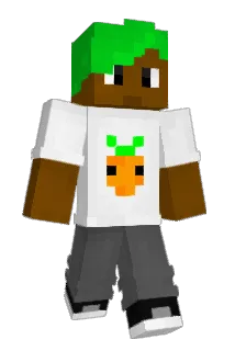 TLANDER Minecraft avatar full body