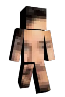 TLNQ Minecraft avatar full body
