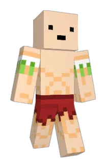 TLS24 Minecraft avatar full body
