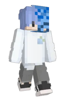 TM0320 Minecraft avatar full body