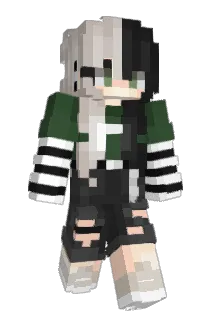 TMT1314520 Minecraft avatar full body