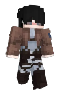 TM_calt_24 Minecraft avatar full body