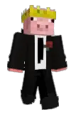 TMo256 Minecraft avatar full body