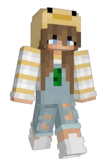 TN20025 Minecraft avatar full body