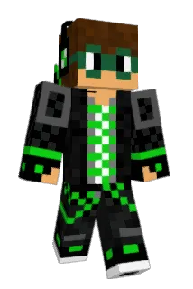 TN2816 Minecraft avatar full body