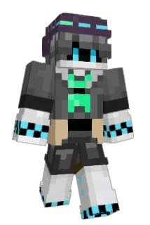 TNBS_FLAV3 Minecraft avatar full body