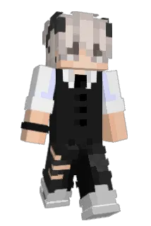 TNLVSN Minecraft avatar full body
